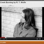 Click on the picture to view the Black Creek Burning book trailer.